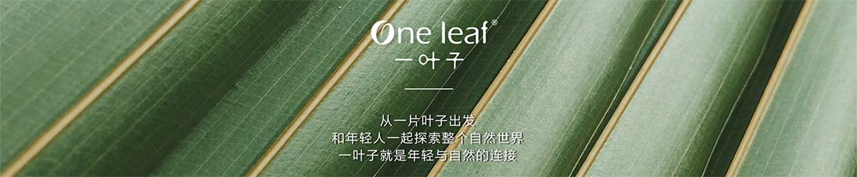 一叶子_化妆护肤品成分介绍_One Leaf是哪个国家的品牌_是什么牌子